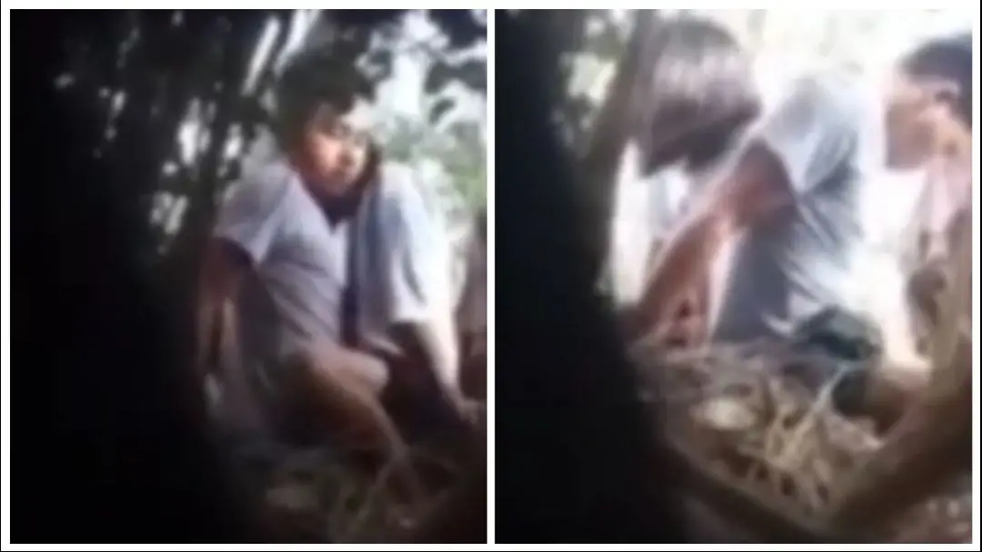 မြန်မာချောင်းရိုက် (၁၇) – Couple Dating Cowgirl Riding Fuck