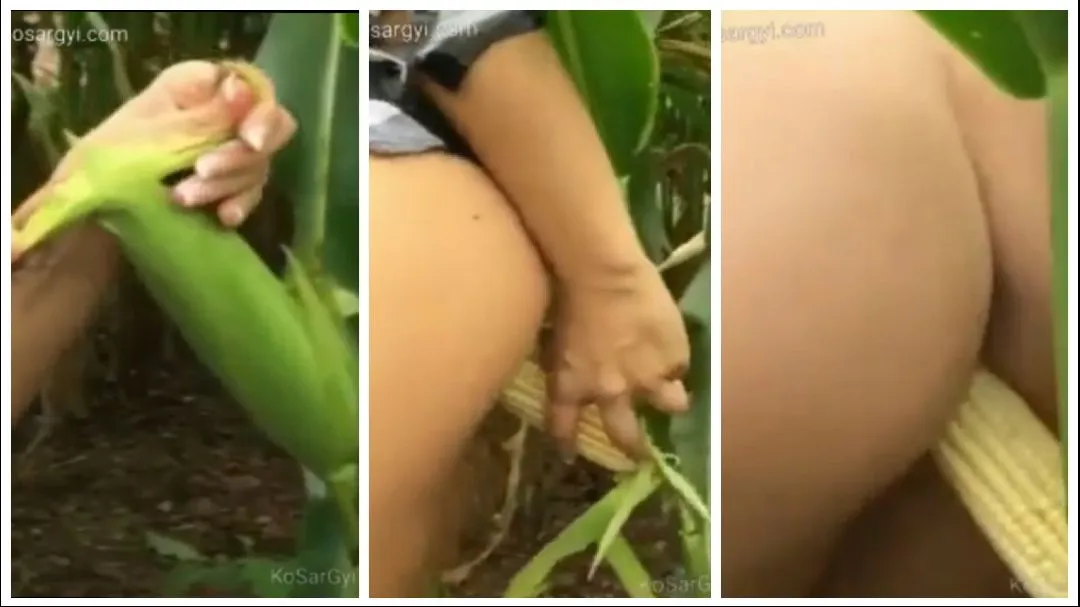 ပြောင်းဖူးစားကြပါအုံး – Outdoor Standing Doggy Fucked With Corn